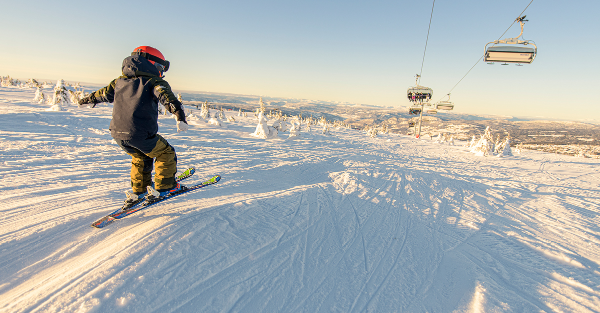 Favn - Familiens Nye Førstevalg I Hafjell | Hafjell